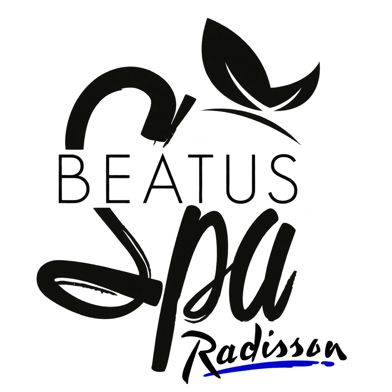 Beatus Spa Radisson